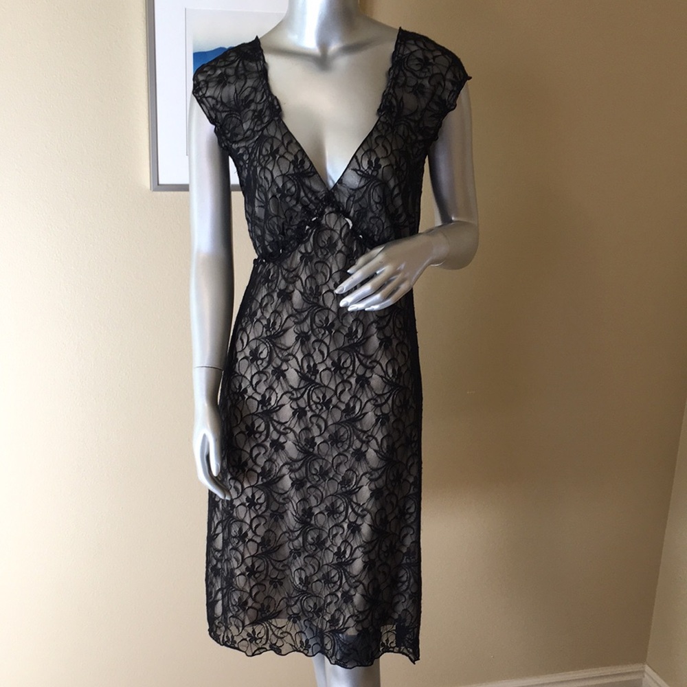 MAX STUDIO | Lace V-Neck Dress